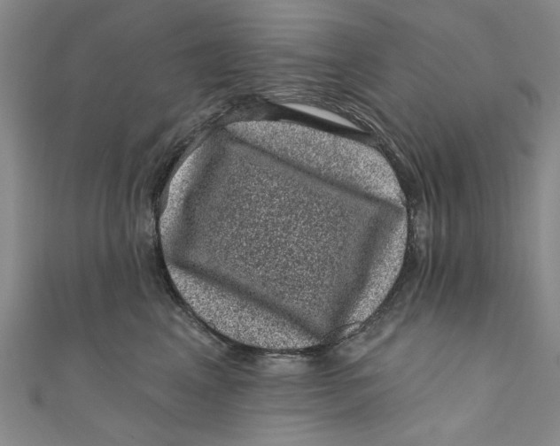 X0000110940617200907101248