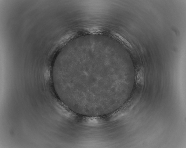 X0000110940618200907101248