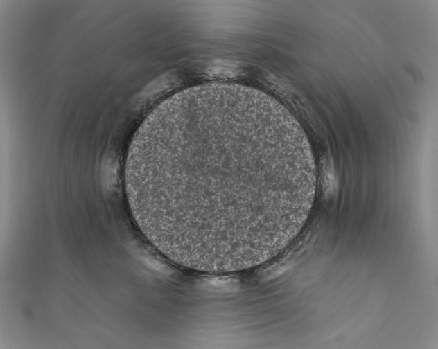 X0000110940619200907101248