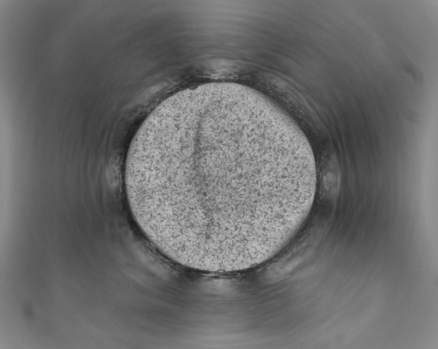 X0000110940620200907101248