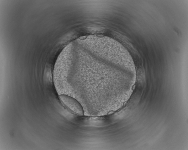 X0000110940622200907101248