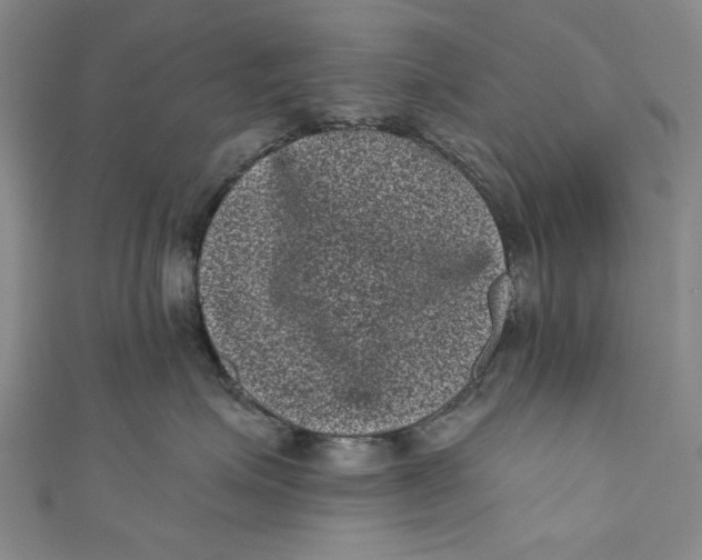 X0000110940623200907101248