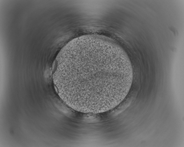 X0000110940624200907101248