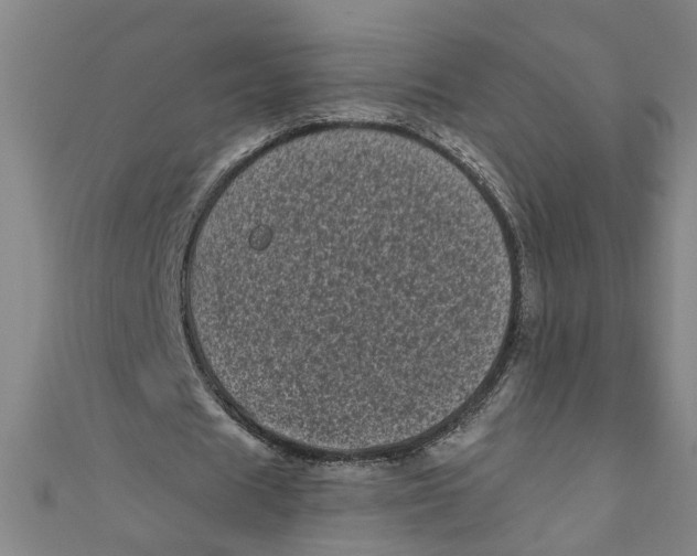 X0000110940625200907101247