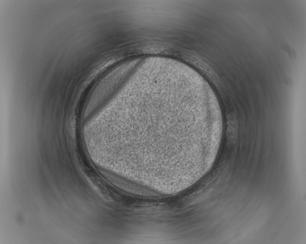 X0000110940626200907101247