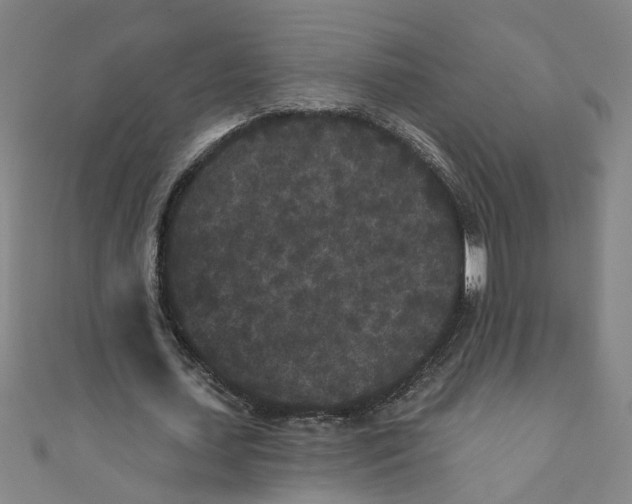 X0000110940627200907101247