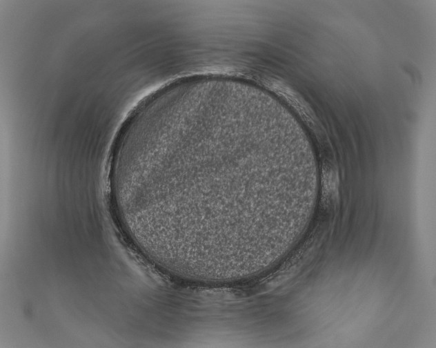 X0000110940628200907101247