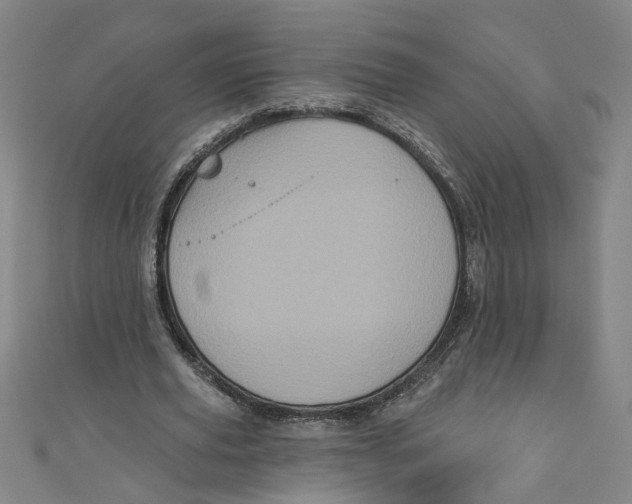 X0000110940629200907101247