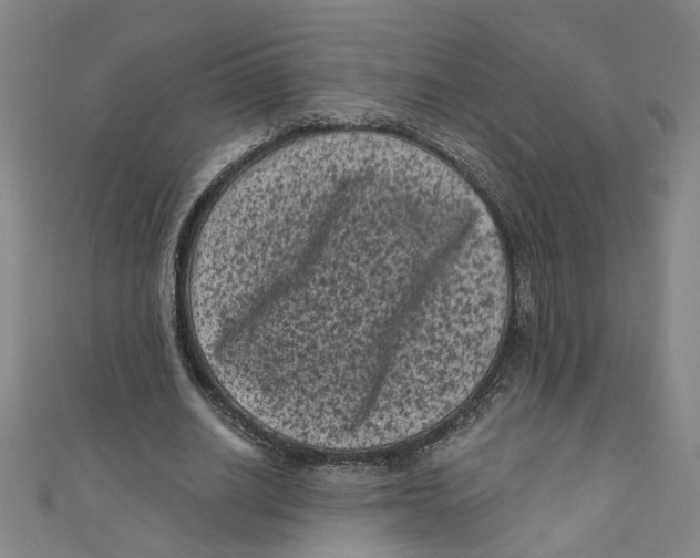 X0000110940630200907101247