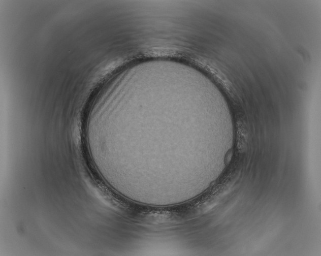 X0000110940631200907101247