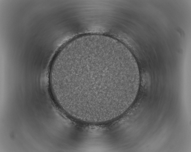 X0000110940632200907101247