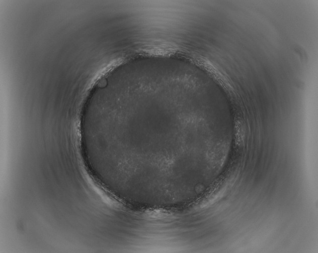 X0000110940634200907101247