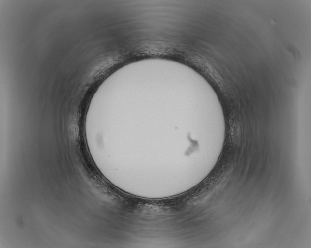 X0000110940635200907101247