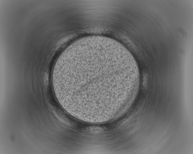X0000110940636200907101247
