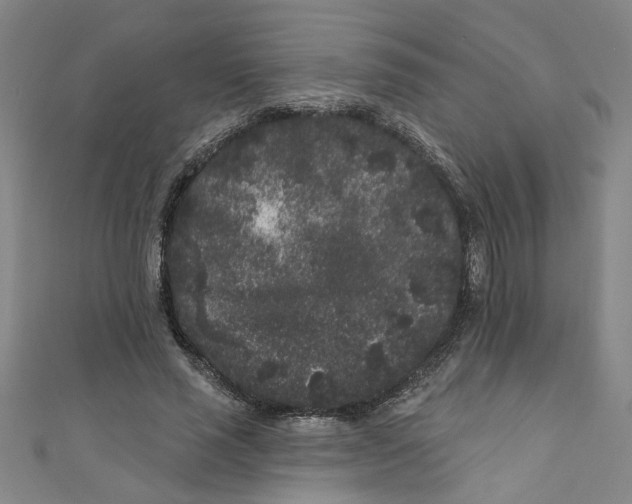 X0000110940637200907101247