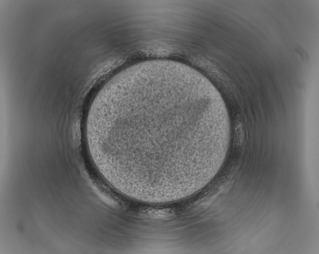 X0000110940638200907101247