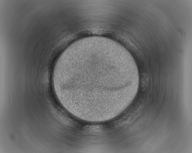 X0000110940639200907101247