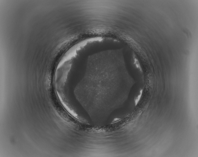 X0000110940640200907101247