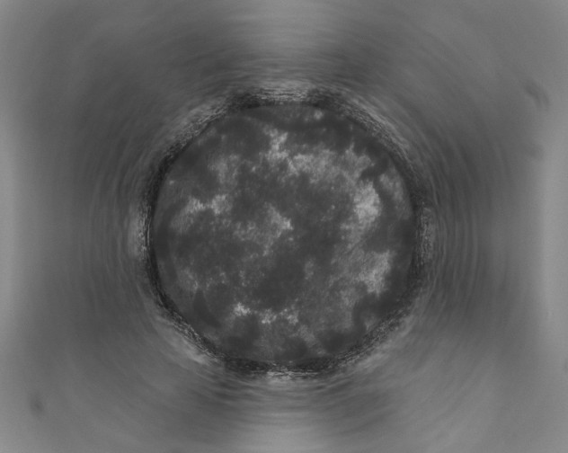 X0000110940641200907101247