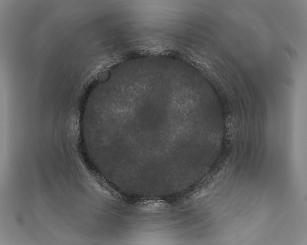 X0000110940642200907101247