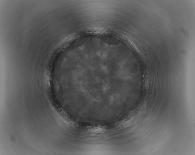 X0000110940643200907101248