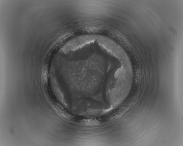 X0000110940644200907101248