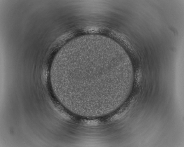 X0000110940645200907101248