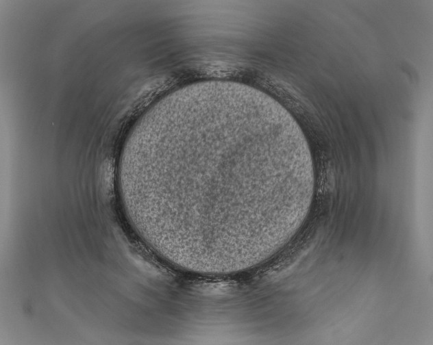 X0000110940646200907101248