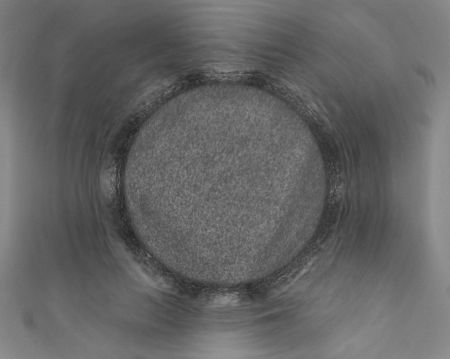 X0000110940647200907101248