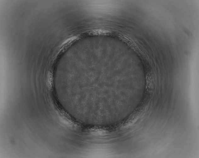 X0000110940648200907101248
