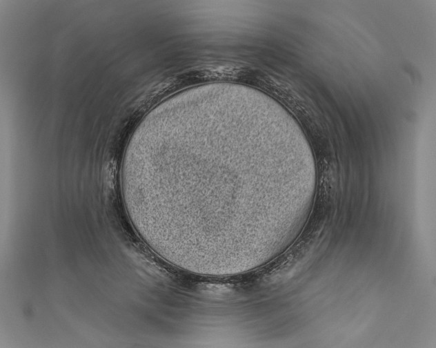 X0000110940649200907101248