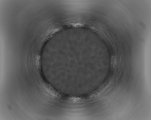 X0000110940650200907101248