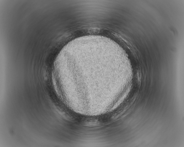 X0000110940651200907101248
