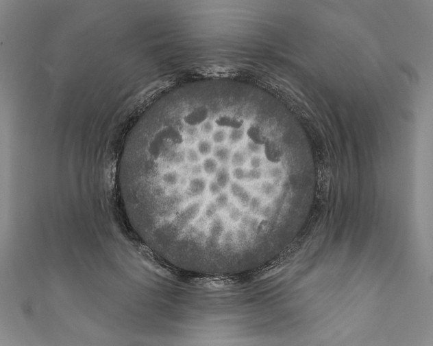 X0000110940652200907101248