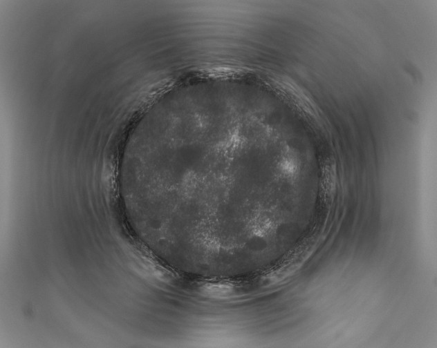 X0000110940653200907101248