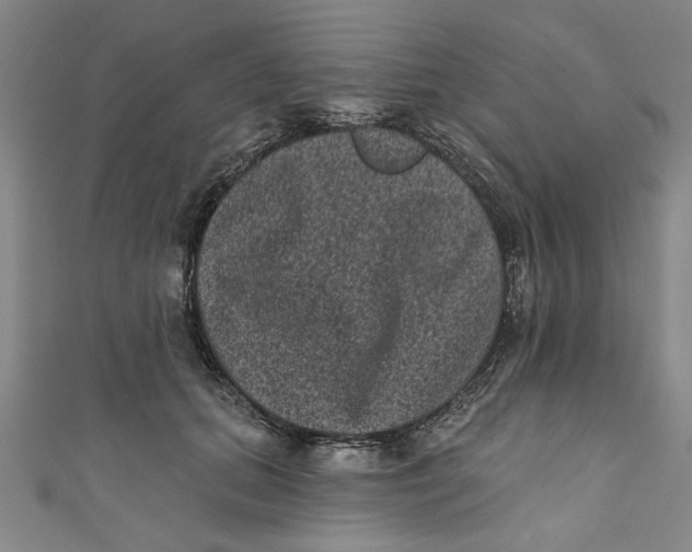X0000110940655200907101248
