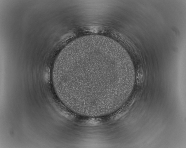 X0000110940656200907101248