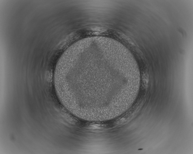 X0000110940657200907101248