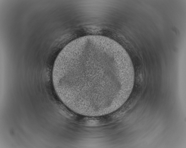 X0000110940658200907101248