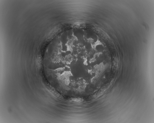 X0000110940659200907101248