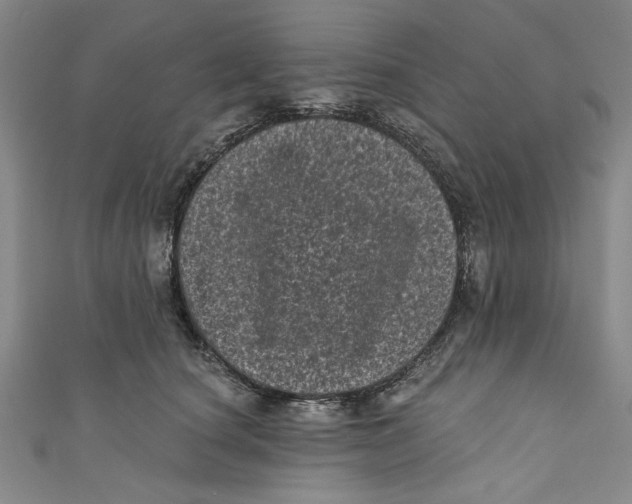 X0000110940660200907101248