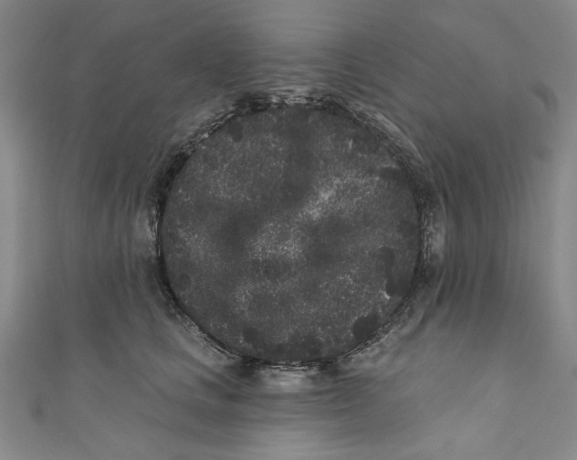 X0000110940661200907101248