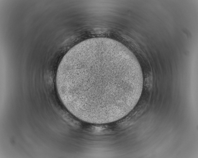 X0000110940662200907101248