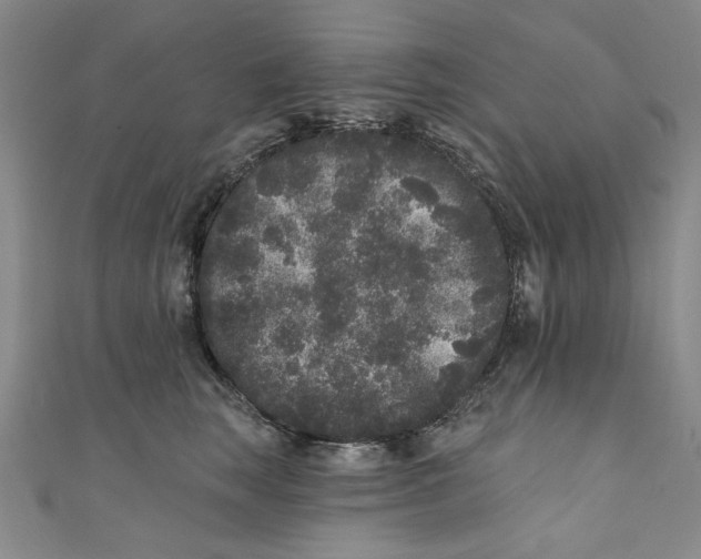 X0000110940663200907101248