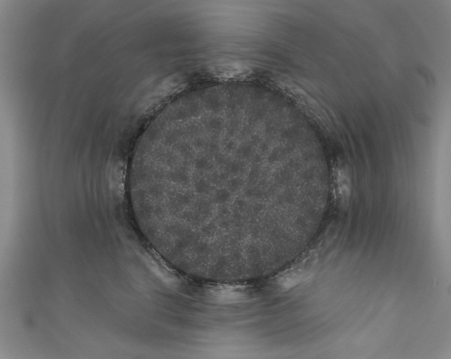 X0000110940664200907101248