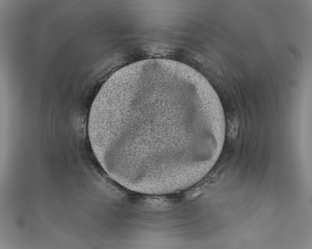 X0000110940666200907101248
