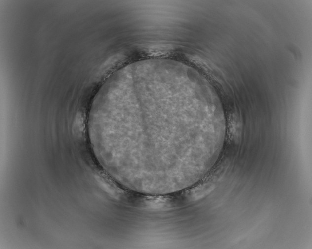 X0000110940667200907101248
