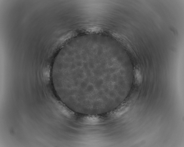 X0000110940668200907101248