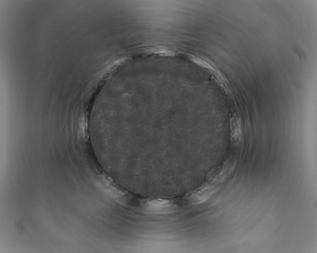 X0000110940669200907101248