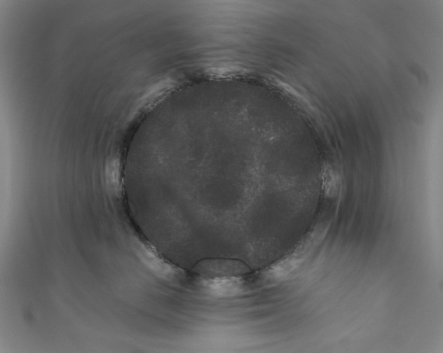 X0000110940670200907101248